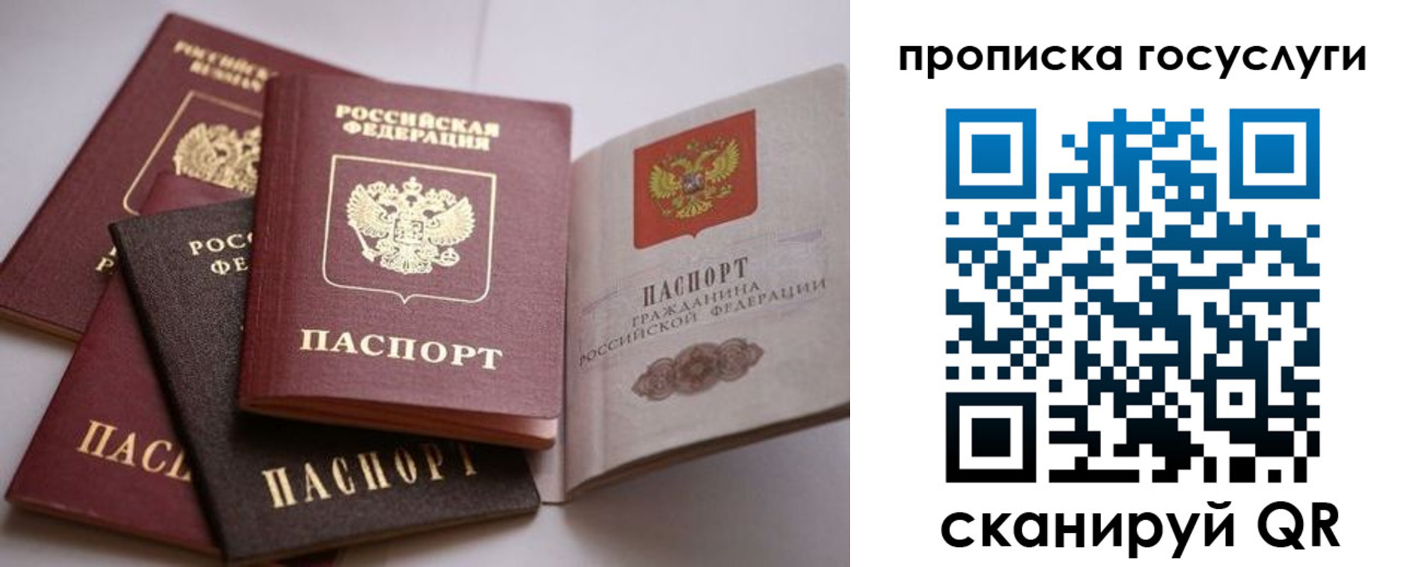 купить прописку в Долгопрудном